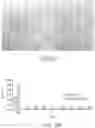 Fig. 15 - AUTOMATED METHOD FOR RELEASE OF NUCLEIC ACIDS FROM MICROBIAL SAMPLES