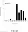 Fig. 07 - METHOD OF APTAMER SELECTION AND METHOD FOR PURIFYING BIOMOLECULES WITH APTAMERS