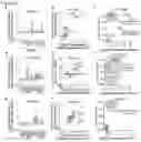 Fig. 44 - Compositions and methods for multiplexed quantitative analysis of cell lineages