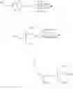 Fig. 596 - Conjugated antisense compounds and their use