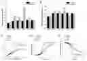 Fig. 01 - METHODS FOR DECOUPLING CELL GROWTH FROM PRODUCTION OF BIOCHEMICALS AND RECOMBINANT POLYPEPTIDES