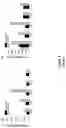Fig. 07 - METHODS FOR DECOUPLING CELL GROWTH FROM PRODUCTION OF BIOCHEMICALS AND RECOMBINANT POLYPEPTIDES