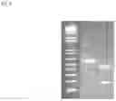 Fig. 06 - Method for targeted DNA alteration in plant cells