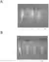 Fig. 01 - Plants having increased tolerance to herbicides