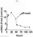 Fig. 04 - Method of treating type I diabetes using an AAV vector encoding uracortin 2