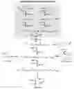 Fig. 01 - Microbial engineering for the production of isoprenoids