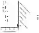 Fig. 08 - Immunotherapeutic potential of modified lipooligosaccharides/lipid A