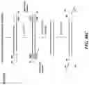 Fig. 131 - Methods and systems for analysis of major histocompatability complex