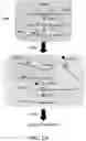Fig. 167 - Methods and systems for analysis of major histocompatability complex