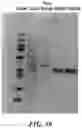 Fig. 72 - Methods and systems for analysis of chromatin