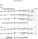 Fig. 07 - METHODS FOR HAPLOTYPE AND DIPLOTYPE DETERMINATION
