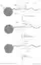 Fig. 06 - Methods and apparatuses for estimating parameters in a predictive model for use in sequencing-by-synthesis