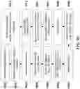 Fig. 136 - Methods and systems for analysis of cell lineage