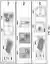 Fig. 79 - Methods and systems for analysis of cell lineage