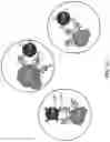 Fig. 97 - Methods and systems for analysis of cell lineage