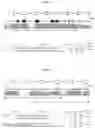 Fig. 03 - PCR PRIMER SET FOR HLA GENE, AND SEQUENCING METHOD USING SAME