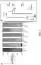 Fig. 04 - Resistance to checkpoint blockade therapy