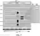 Fig. 08 - Resistance to checkpoint blockade therapy