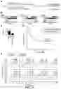 Fig. 10 - Resistance to checkpoint blockade therapy