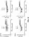 Fig. 12 - Resistance to checkpoint blockade therapy