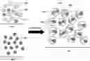 Fig. 01 - Systems and methods for quality control in single cell processing