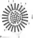 Fig. 07 - Systems and methods for quality control in single cell processing