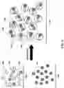 Fig. 10 - Systems and methods for quality control in single cell processing