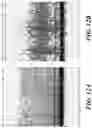 Fig. 13 - Systems and methods for quality control in single cell processing