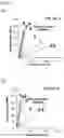 Fig. 08 - Process for producing elastic fiber, process for producing elastic fiber article, elastic fiber and elastic fiber article