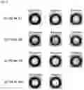 Fig. 22 - Process for producing elastic fiber, process for producing elastic fiber article, elastic fiber and elastic fiber article