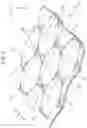 Fig. 02 - Decorative sheet and method for manufacturing same