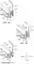 Fig. 09 - Sanitary washing device