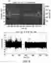 Fig. 04 - Borehole communication using vibration frequency