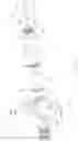 Fig. 07 - INTERNALLY HEATED VALVES