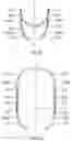 Fig. 07 - LED light bulb with symmetrical filament