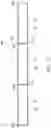 Fig. 12 - Lighting fixture and lighting apparatus