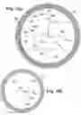 Fig. 06 - RING-SHAPED STRUCTURAL ELEMENT