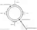 Fig. 01 - MECHANICAL STRAIN-BASED WEATHER SENSOR