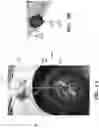 Fig. 02 - Wheel force transducer stator angle correction device