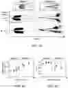 Fig. 07 - Microfluidic guillotine for splitting cellular structures