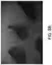 Fig. 12 - Preparation of tissue sections using fluorescence-based detection