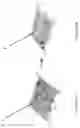 Fig. 02 - Method and apparatus for chemical mapping by selective dissolution