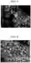 Fig. 02 - METHOD FOR EVALUATING SURFACE STATE OF PARTICLES, AND EVALUATION SYSTEM
