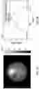 Fig. 08 - Single-shot method for edge illumination X-ray phase-contrast tomography