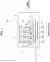 Fig. 02 - Drum unit having electrical contact surface positioned at outer surface of frame and image forming apparatus provided with the same