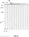 Fig. 07 - Structure of transparent capacitive touch sensor