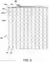 Fig. 09 - Structure of transparent capacitive touch sensor