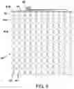 Fig. 06 - METHOD FOR REDUCING LOCAL IMPEDANCE OF A TRANSPARENT CONDUCTIVE FILM AND PRODUCT THEREOF