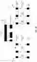 Fig. 09 - Fast instantiation of virtual machines in distributed computing systems