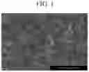 Fig. 02 - Dielectric composites, and multi-layered capacitors and electronic devices comprising thereof